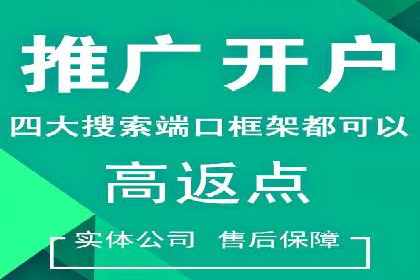 百度推广代运营案例：案例分享：打造行业领军品牌